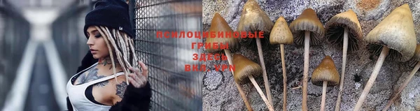 прущая мука Белоозёрский