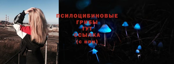 прущие крисы Беломорск