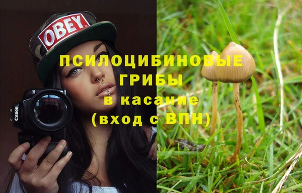 крисы Сосновка